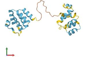 AlphaFold protein structure predicition of Human Recombinant PYCARD Protein, UniprotID Q9ULZ3 (PYCARD Protein (AA 1-195) (His tag))