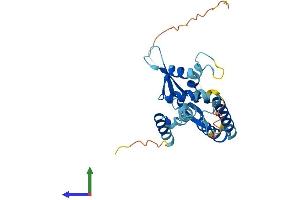 AlphaFold protein structure predicition of Mouse Recombinant Nsmce3 Protein, UniprotID Q9CPR8 (Necdin-Like 2 Protein (NDNL2) (AA 1-279) (His tag))
