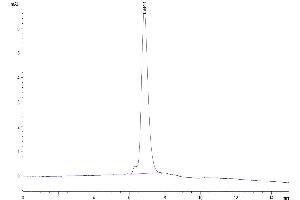 The purity of Biotinylated Human Her2/ErbB2 is greater than 95 % as determined by SEC-HPLC. (ErbB2/Her2 Protein (His-Avi Tag,Biotin))