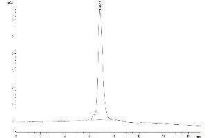 The purity of Biotinylated Human Her2/ErbB2 is greater than 95 % as determined by SEC-HPLC.