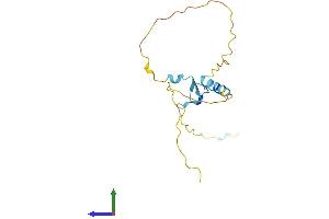 AlphaFold protein structure predicition of Mouse Recombinant Cdc42ep5 Protein, UniprotID Q9Z0X0 (CDC42EP5 Protein (AA 1-150) (His tag))
