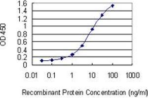 Detection limit for recombinant GST tagged MCFD2 is 0. (MCFD2 antibody  (AA 1-146))