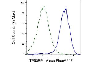 Flow cytometric analysis of TP53BP1 expression in HAP-1 cells using TP53BP1 antibody (ABIN7800690), 1:2,000). (TP53BP1 antibody)