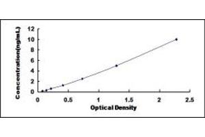 Typical standard curve (HNRNPU ELISA Kit)