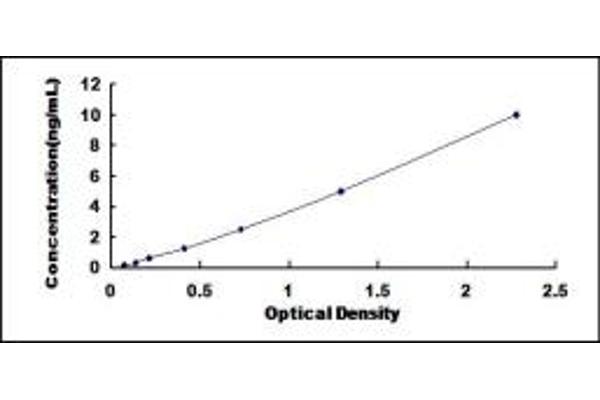 HNRNPU ELISA Kit