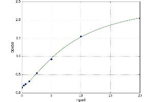 Melanocortin 4 Receptor (MC4R) ELISA Kit