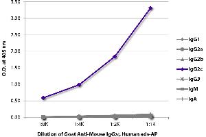 ELISA plate was coated with purified mouse IgG1, IgG2a, IgG2b, IgG2c, IgG3, IgM, and IgA. (Goat anti-Mouse IgG2c (Heavy Chain) Antibody (Alkaline Phosphatase (AP)))
