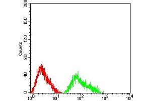 Flow cytometric analysis of HL-60 cells using CD307C mouse mAb (green) and negative control (red). (FCRL3 antibody  (AA 18-153))