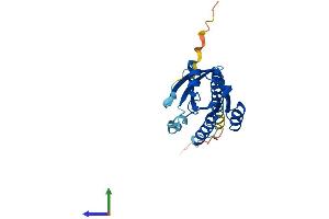 AlphaFold protein structure predicition of Human Recombinant RAB17 Protein, UniprotID Q9H0T7