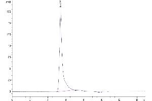 The purity of Human ITGAV&ITGB8 is greater than 95 % as determined by SEC-HPLC.