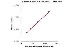 ELISA image for PDGF-BB Homodimer ELISA Kit (ABIN3198604) (PDGF-BB Homodimer ELISA Kit)