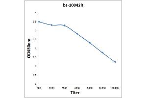 Antigen: 2 µg/100 µL  Primary: Antiserum, 1:500, 1:1000, 1:2000, 1:4000, 1:8000, 1:16000, 1:32000;  Secondary: HRP conjugated Rabbit Anti-Goat IgG at 1: 5000;  TMB staining Read the data in Microplate Reader by 450nm. (GluR1, GluR2 antibody  (AA 141-240))