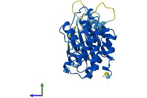 AlphaFold protein structure predicition of Mouse Recombinant Cdk5 Protein, UniprotID P49615 (CDK5 Protein (AA 1-292) (His tag))