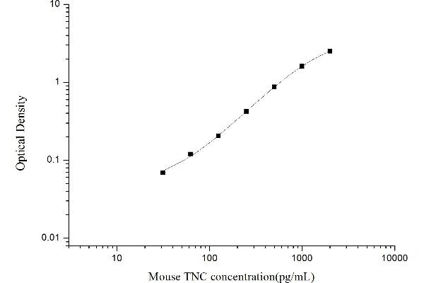 TNC ELISA Kit