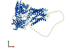 AlphaFold protein structure predicition of Mouse Recombinant Ermp1 Protein, UniprotID Q3UVK0 (ERMP1 Protein (AA 1-898) (His tag))