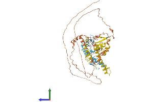 Protein Structure (PS) image for IKAROS Family Zinc Finger 3 (Aiolos) (IKZF3) (AA 1-509) protein (His tag) (ABIN7548497)