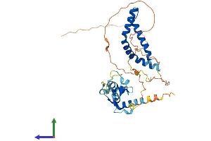 AlphaFold protein structure predicition of Human Recombinant DNTTIP1 Protein, UniprotID Q9H147 (DNTTIP1 Protein (AA 1-329) (His tag))