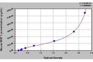 Typical Standard Curve (WNT1 ELISA Kit)