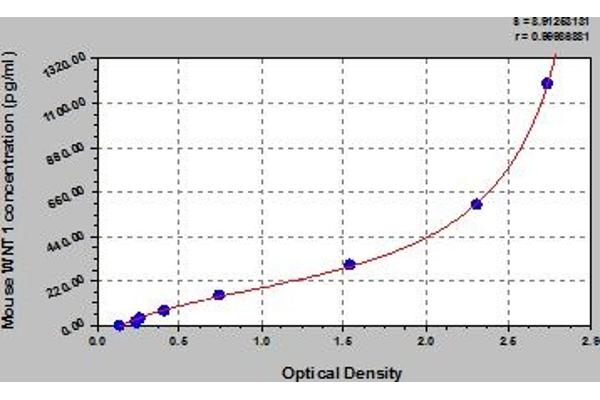 WNT1 ELISA Kit
