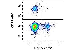 Flow cytometry analysis (surface staining) of human peripheral blood using anti-IgG (Fc), clone EM-07, FITC. (Mouse anti-Human IgG Fc (Fc Region) Antibody (FITC))