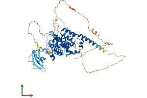 AlphaFold protein structure predicition of Human Recombinant SHQ1 Protein, UniprotID Q6PI26