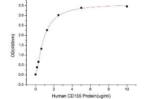 Activity Assay (AcA) image for Poliovirus Receptor (PVR) (AA 28-343) (Active) protein (His-Fc tag) (ABIN7607333)