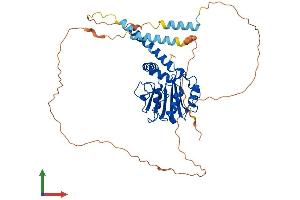 Protein Structure (PS) image for Ribosomal RNA Processing 8 (RRP8) (AA 1-457) protein (His tag) (ABIN7565004)