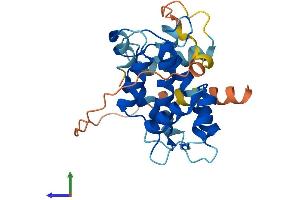 AlphaFold protein structure predicition of Human Recombinant CAPNS2 Protein, UniprotID Q96L46