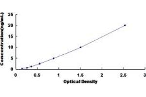 Typical standard curve (CES1 ELISA Kit)