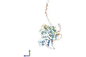 AlphaFold protein structure predicition of Human Recombinant ZNF772 Protein, UniprotID Q68DY9 (ZNF772 Protein (AA 1-489) (His tag))