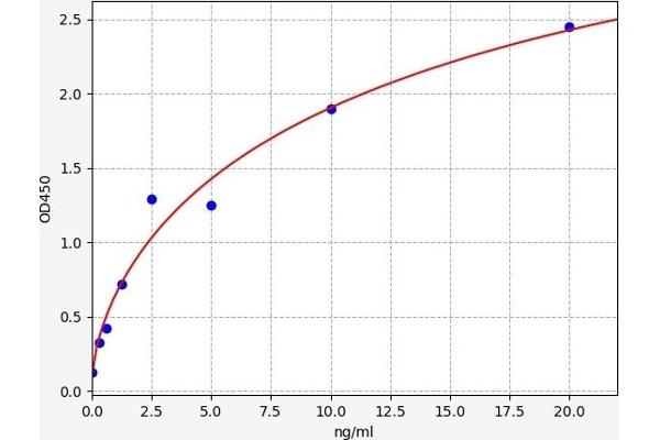 RGS7 ELISA Kit