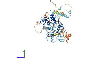 AlphaFold protein structure predicition of Human Recombinant ZNF674 Protein, UniprotID Q2M3X9 (ZNF674 Protein (AA 1-581) (His tag))