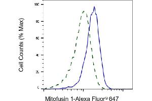 Validation of Mitofusin 1 knockdown using flow cytometry. (Recombinant MFN1 antibody)