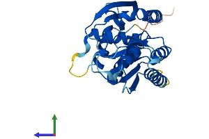 AlphaFold protein structure predicition of Human Recombinant C1orf74 Protein, UniprotID Q96LT6 (C1ORF74 Protein (AA 1-269) (His tag))