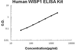 Human WISP1/CCN4 PicoKine ELISA Kit standard curve (WISP1 ELISA Kit)