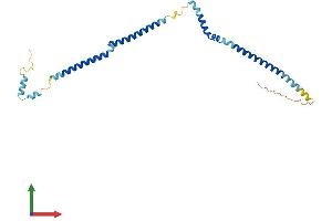 Protein Structure (PS) image for HAUS Augmin-Like Complex, Subunit 2 (HAUS2) (AA 1-235) protein (His tag) (ABIN7548230)