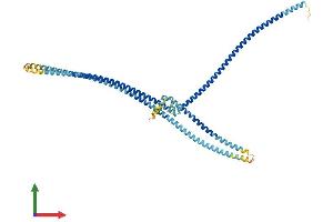 AlphaFold protein structure predicition of Human Recombinant MNS1 Protein, UniprotID Q8NEH6 (MNS1 Protein (AA 1-495) (His tag))