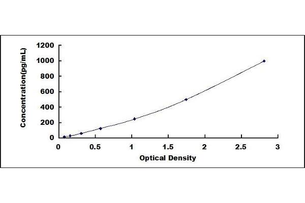 NEFH ELISA Kit