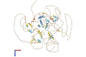 EIF4ENIF1 Protein (AA 1-983) (His tag)