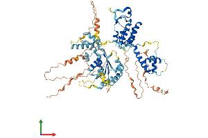 Protein Structure (PS) image for RAD17 (RAD17) (AA 1-688) protein (His tag) (ABIN7564065)