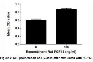 FGF13 (Fibroblast growth factor 13) is a member of the fibroblast growth factor (FGF) family.