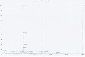 Image no. 1 for Von Willebrand Factor (VWF) peptide (Ovalbumin) (ABIN5666417)