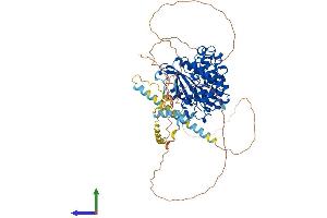 AlphaFold protein structure predicition of Human Recombinant SRPK2 Protein, UniprotID P78362 (SRPK2 Protein (AA 1-688) (His tag))