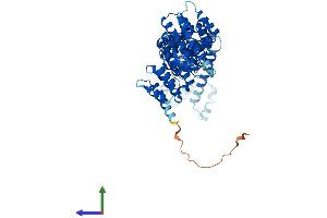 AlphaFold protein structure predicition of Human Recombinant NELFB Protein, UniprotID Q8WX92
