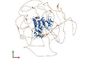 AlphaFold protein structure predicition of Human Recombinant HIPK3 Protein, UniprotID Q9H422