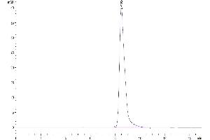 Size-exclusion chromatography-High Pressure Liquid Chromatography (SEC-HPLC) image for Tumor Necrosis Factor (Ligand) Superfamily, Member 9 (TNFSF9) (Trimer) protein (Fc Tag,Biotin) (ABIN7273930)