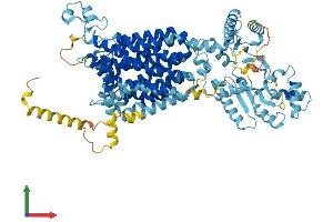 AlphaFold protein structure predicition of Human Recombinant PTCHD4 Protein, UniprotID Q6ZW05 (PTCHD4 Protein (AA 1-846) (His tag))