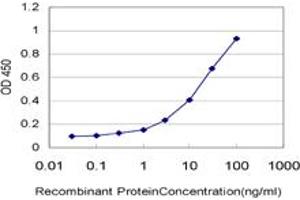 Detection limit for recombinant GST tagged LDB1 is approximately 0. (LIM Domain Binding 1 Protein antibody  (AA 1-110))