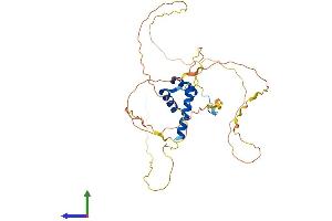 AlphaFold protein structure predicition of Mouse Recombinant Hoxa1 Protein, UniprotID P09022