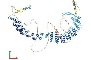 AlphaFold protein structure predicition of Human Recombinant CRNKL1 Protein, UniprotID Q9BZJ0